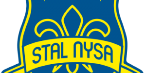 stal_nysa siatkówka logo